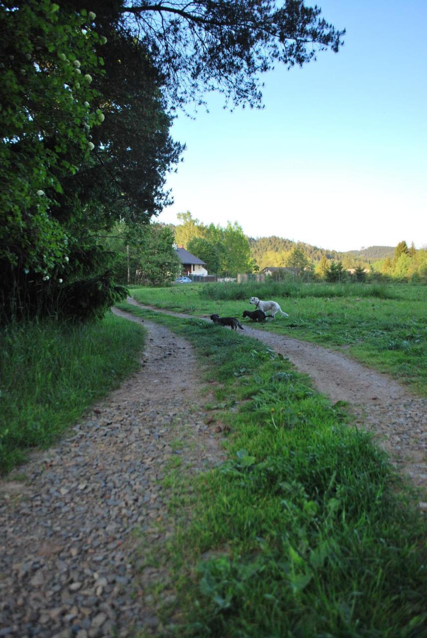 Adrspach U Meieru旅馆 外观 照片